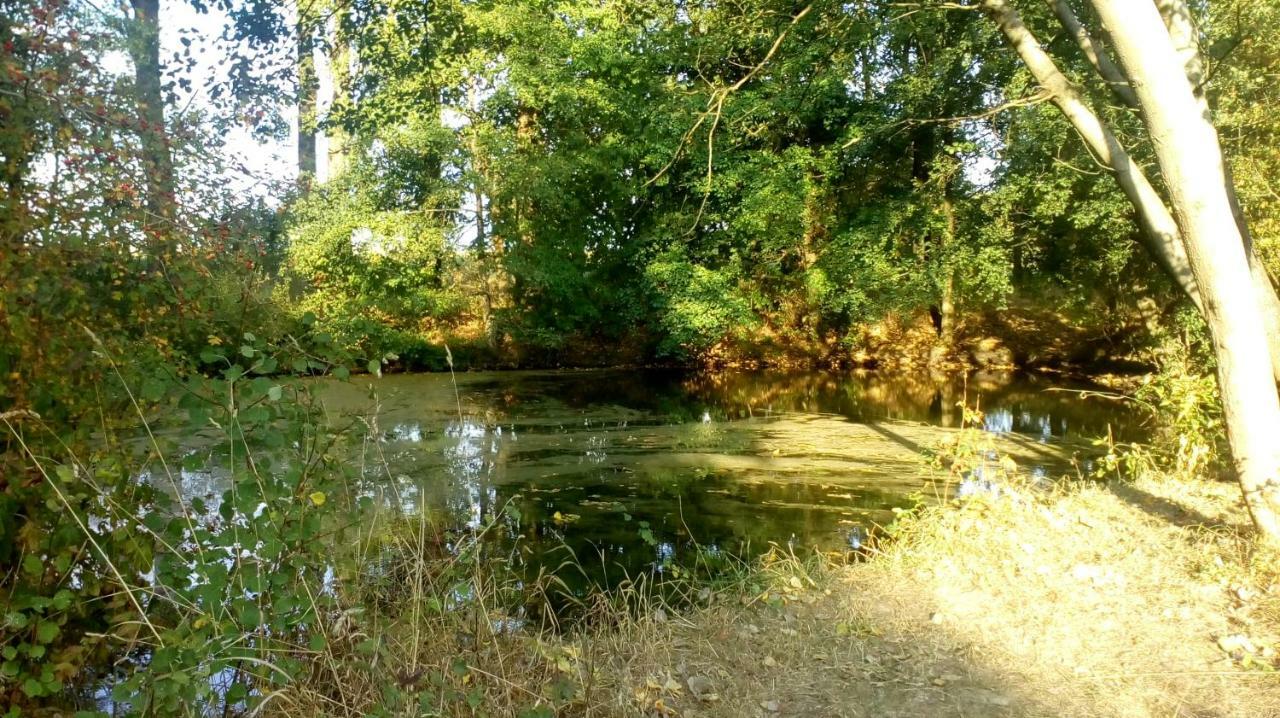 Ferienhof Mies Steffenshof Εξωτερικό φωτογραφία